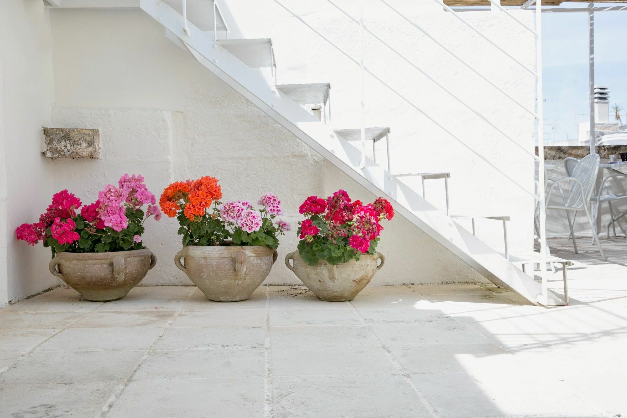 Domus Dejana Bed & Breakfast กัลลีโปลี ภายนอก รูปภาพ